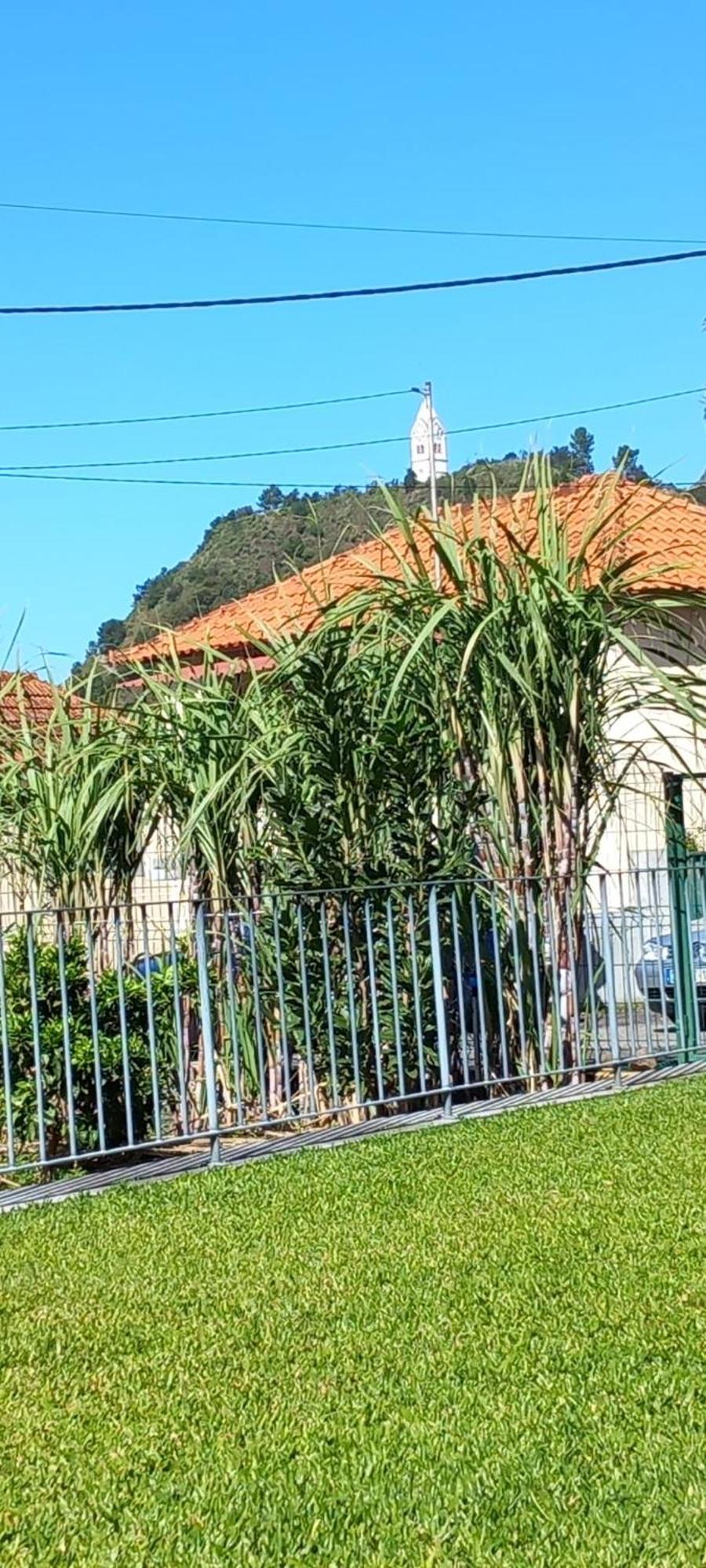 Refugio Do Limoeiro São Vicente Exterior foto